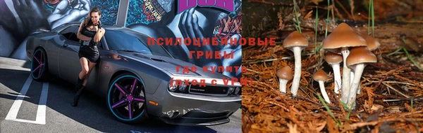 соль курить ск Михайловск