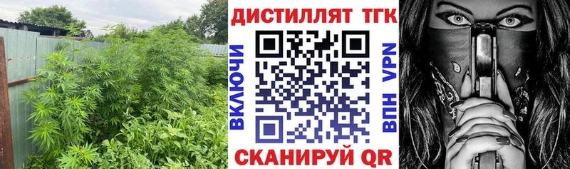 Купить закладки  Лесной  ТГК Wax 