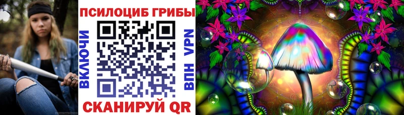 Псилоцибиновые грибы прущие грибы  Купить где  Лесной 